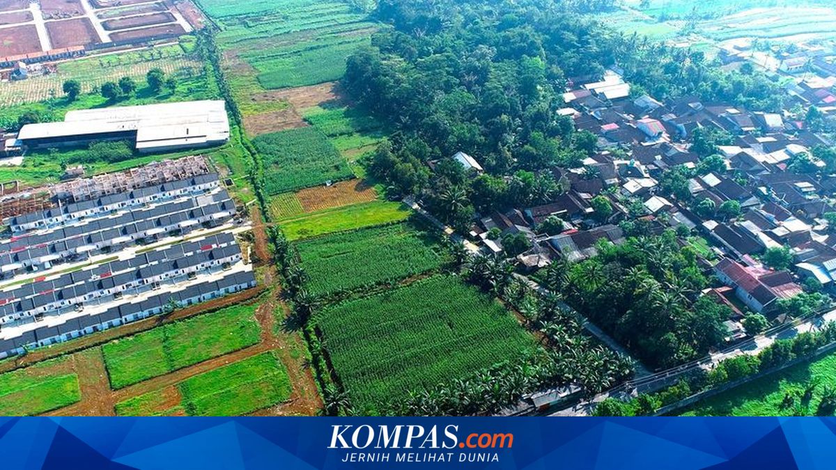 Perubahan Fungsi 2.000 Hektar Lahan Sawah di Lumajang Menjadi Perumahan