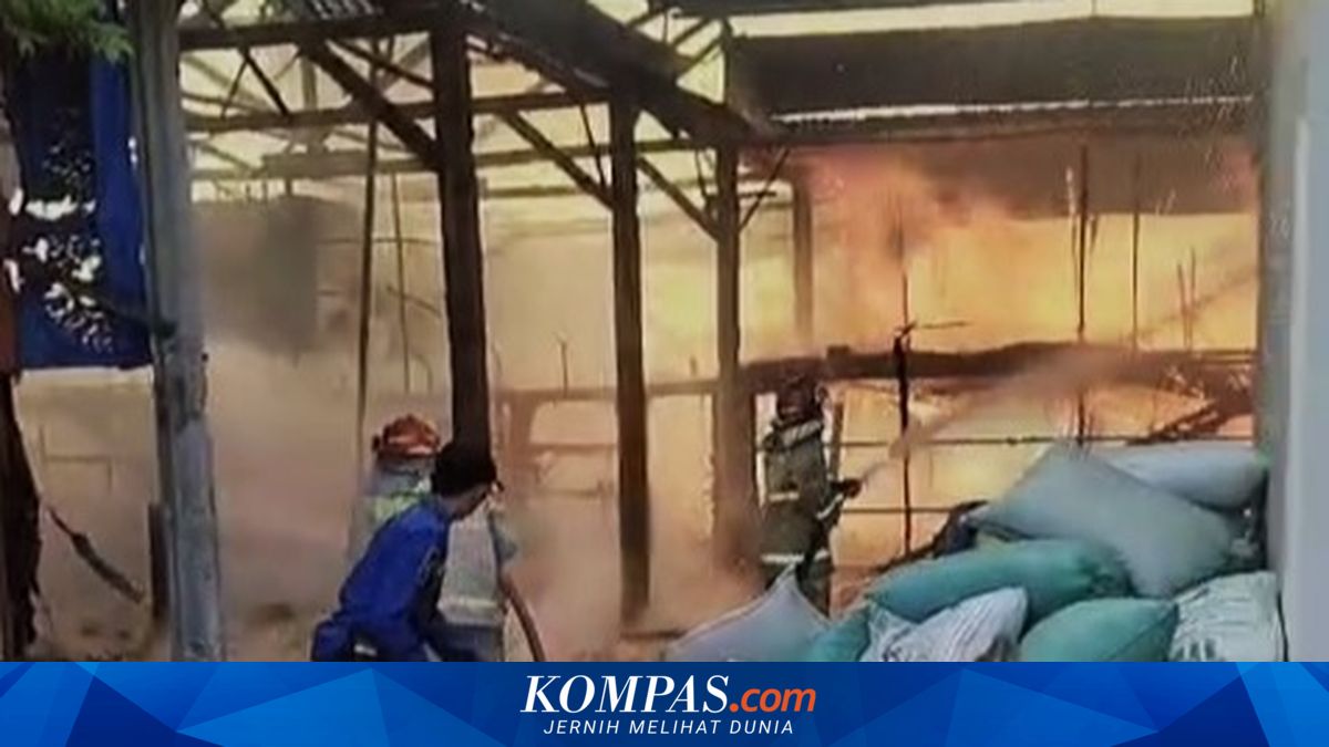 Kandang Ayam di Magetan Terbakar, 40.000 Anak Ayam Hangus Terbakar