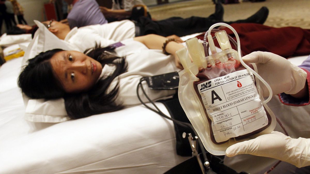 Manfaat Donor Darah yang Tak Terduga bagi Kesehatan