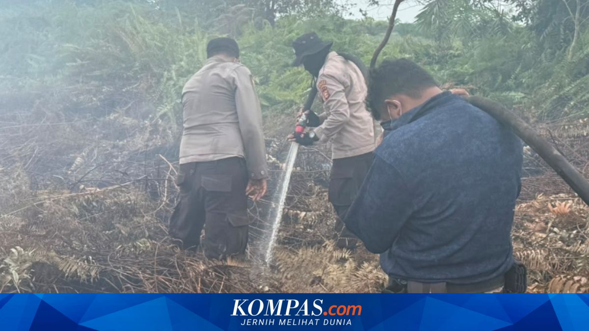 Kebakaran Hutan di Bengkalis Riau, 80 Hektar Terbakar dan Upaya Pemadaman Dikerahkan