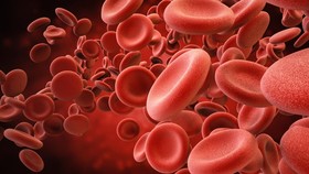 Dampak Kadar Hemoglobin Rendah Terhadap Kesehatan Tubuh