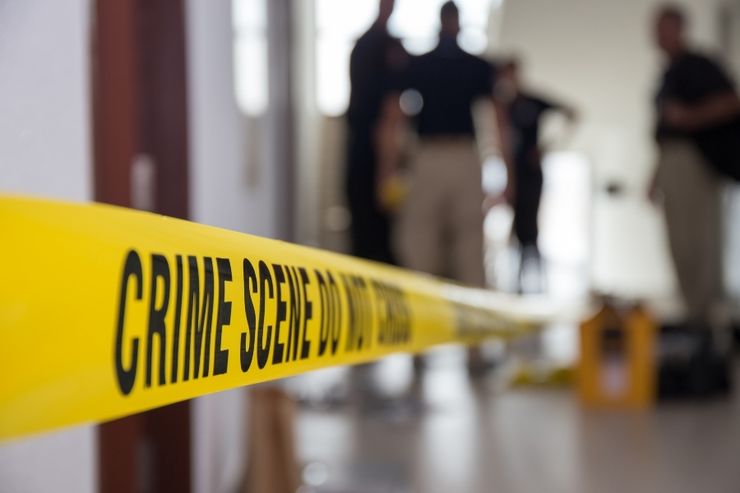 Balita 4 Tahun di Bangli Meninggal Dunia Akibat Serangan Anjing