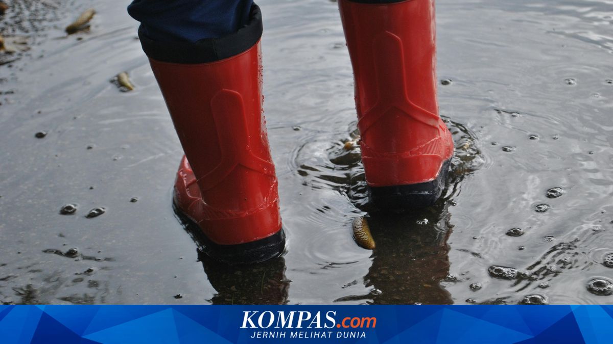 Banjir dan Tanah Longsor Melanda Lima Kecamatan di Lebak, Puluhan Rumah Terendam