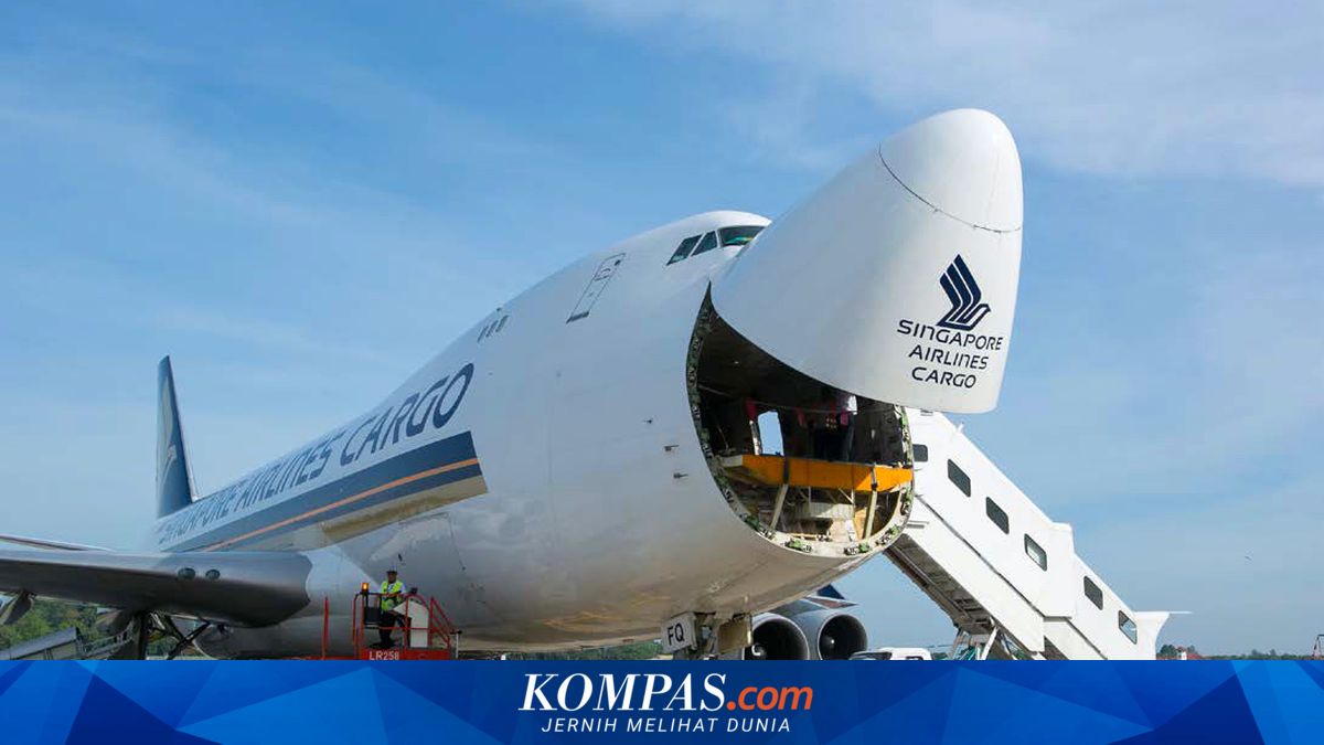 Insiden Pendaratan Darurat Pesawat Singapore Airlines Akibat Gas Domba