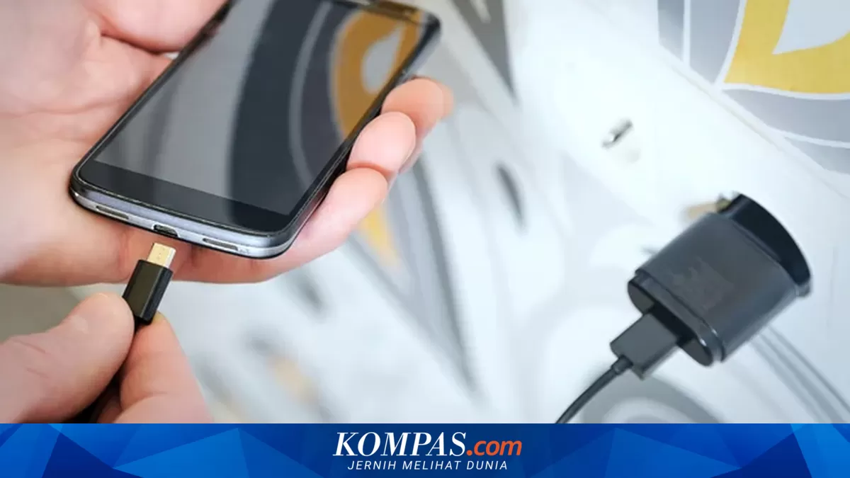 Mengenal Port Charger HP Unik Sebelum Era USB-C