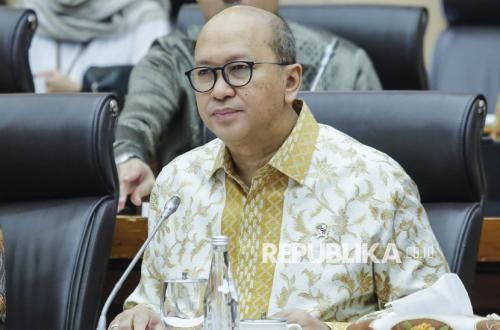 Prospek Cerah Pasar Modal Indonesia Menurut CEO Danantara