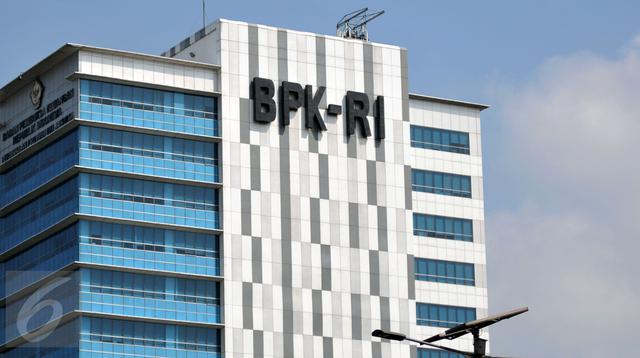 BPK Temukan Tujuh Masalah dalam Pengawasan Pajak, Sektor Nikel Mendapat Perhatian Khusus