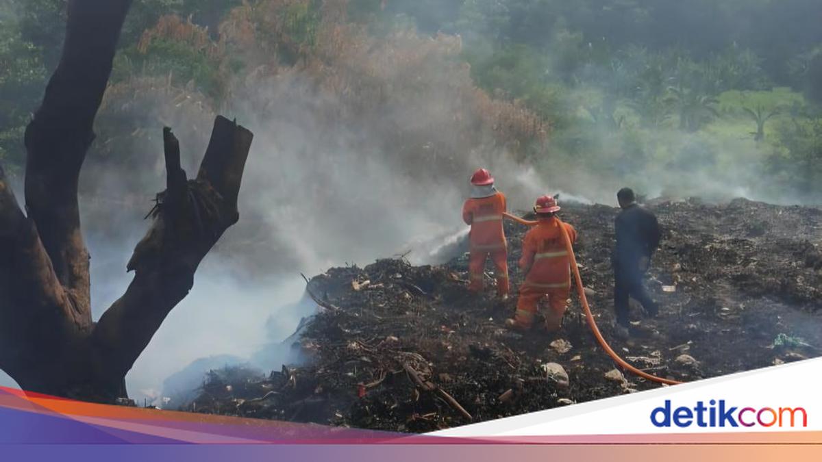 DLH Berikan Sanksi Pembakar TPS Ilegal di Cikeas, Wajib Bersihkan dan Pulihkan Lahan