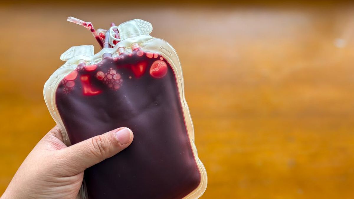 Frekuensi Ideal Donor Darah Berdasarkan Jenis Kelamin