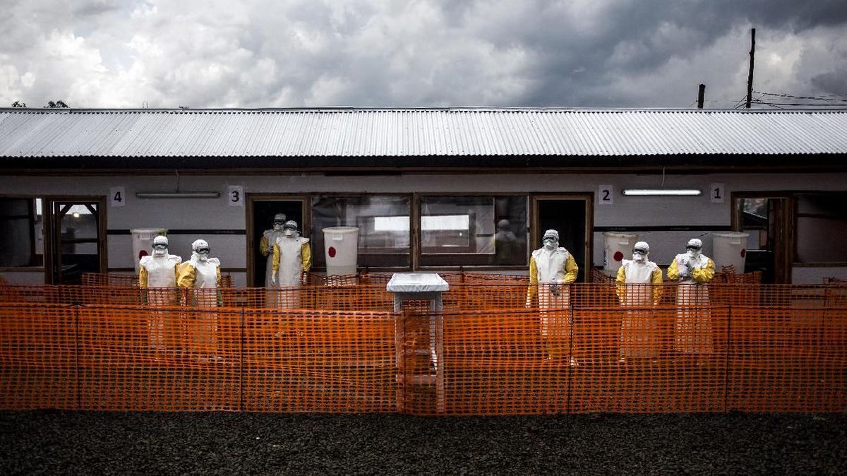 Kemenkes Tingkatkan Kewaspadaan Terhadap Wabah Ebola, Hindari Daging Mentah dan Hewan Liar