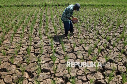 Bappenas Minta Kesiapan Kementerian Hadapi El Nino yang Diprediksi Meningkat