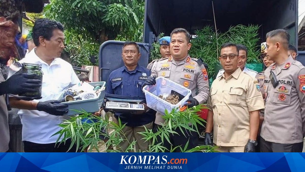 Tuntutan Beragam untuk Terdakwa Kasus Ganja di Jombang, Hukuman Hingga 13 Tahun Penjara