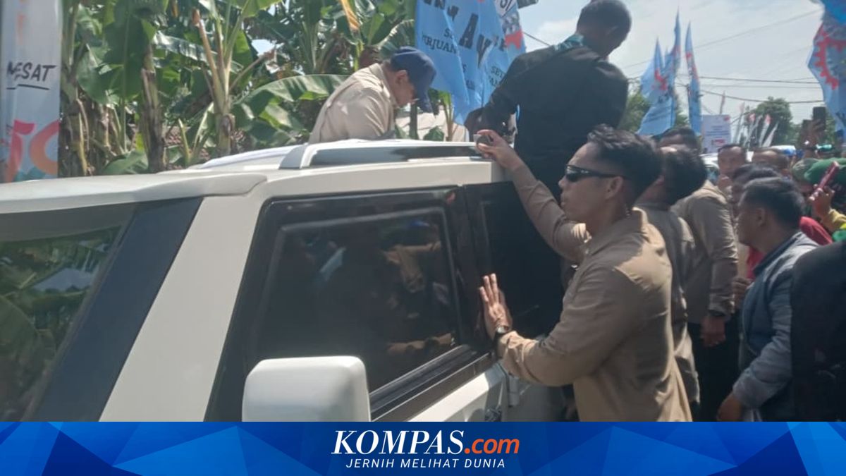 Momen Mengharukan Remaja Tunarungu di Nganjuk, Lukisan Diterima Prabowo