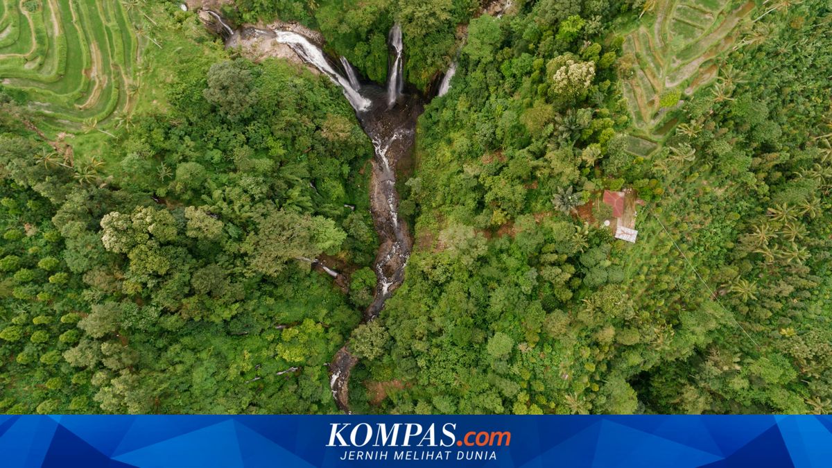 Kondisi Hutan Kota Tangap di Berau Menjadi Perhatian Publik Kembali
