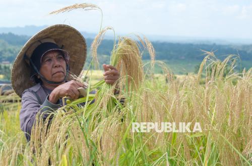 Investasi Uni Emirat Arab Diharapkan Perkuat Ketahanan Pangan dan Infrastruktur Indonesia