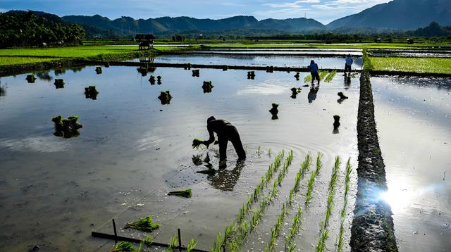 Indonesia Bidik Jadi Negara Superpower di Sektor Ini