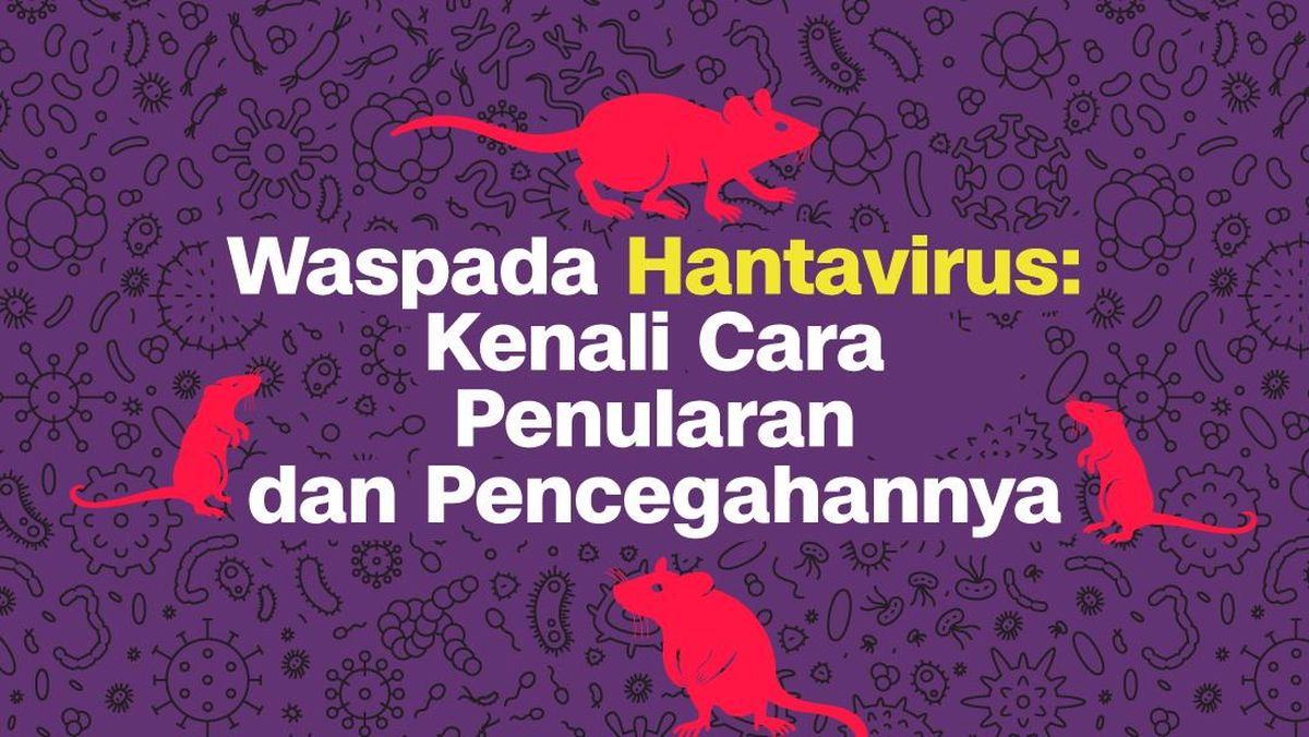 Mengenal Hantavirus: Bahaya, Penularan, dan Cara Pencegahannya