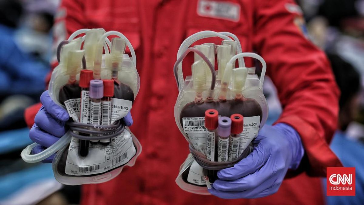 Syarat dan Manfaat Donor Darah yang Perlu Diketahui