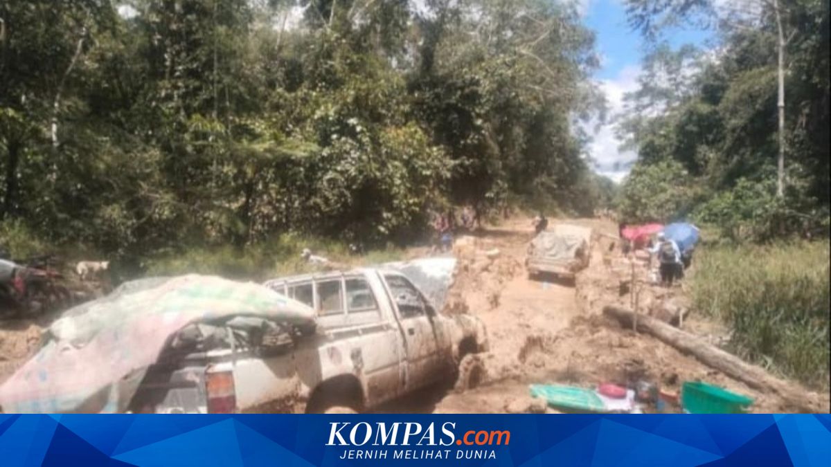 Kesulitan Akses Jalan di Krayan, Petugas PLN Terpaksa Menginap di Hutan untuk Kirim BBM