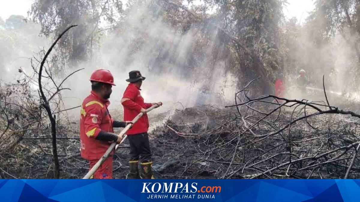 Kebakaran Hutan di Aceh Selatan, Tim Manggala Agni Berhasil Padamkan 10,5 Hektare
