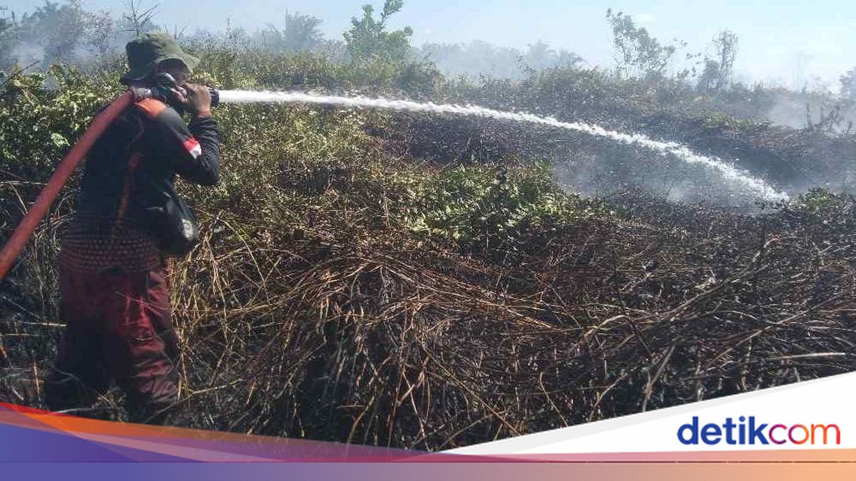 Kebakaran Hutan Melanda Kotawaringin Barat, 8 Hektar Lahan Terbakar dalam Dua Hari