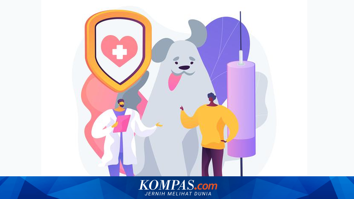 Peningkatan Kasus Gigitan Hewan Penular Rabies di Gianyar, Rata-rata 756 Kasus per Bulan