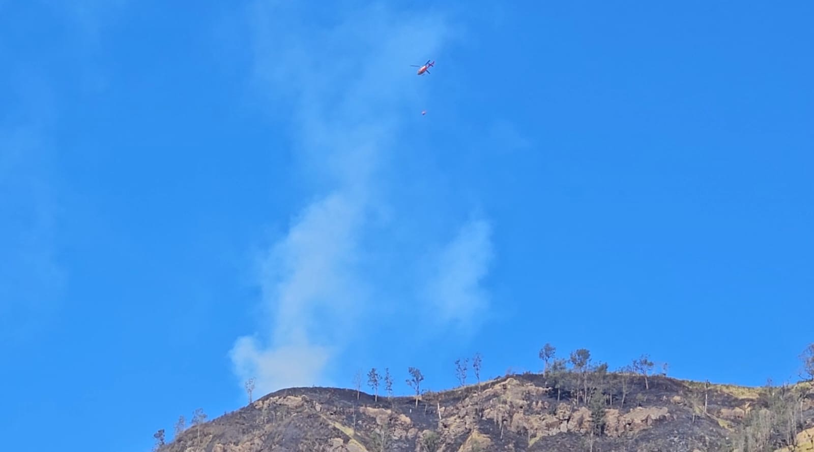 Kebakaran Hutan di Bromo Meluas, Tiga Helikopter Dikerahkan untuk Pemadaman