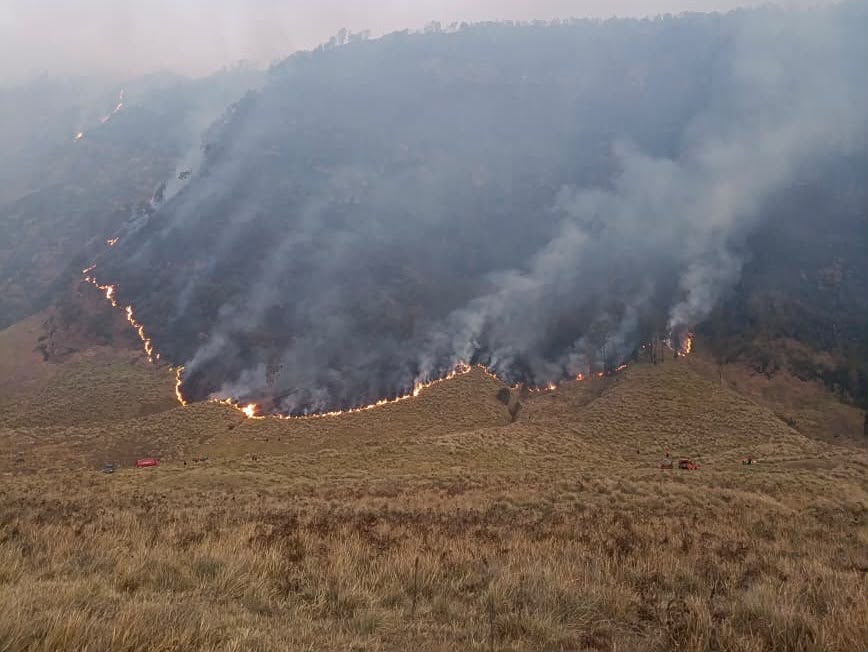 Kebakaran Hutan di Bromo Meluas, Akses Wisata Dibatasi