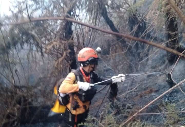 Kebakaran Hutan di Kawah Wadon Gunung Gede Meluas, 142 Personel Dikerahkan untuk Penanganan