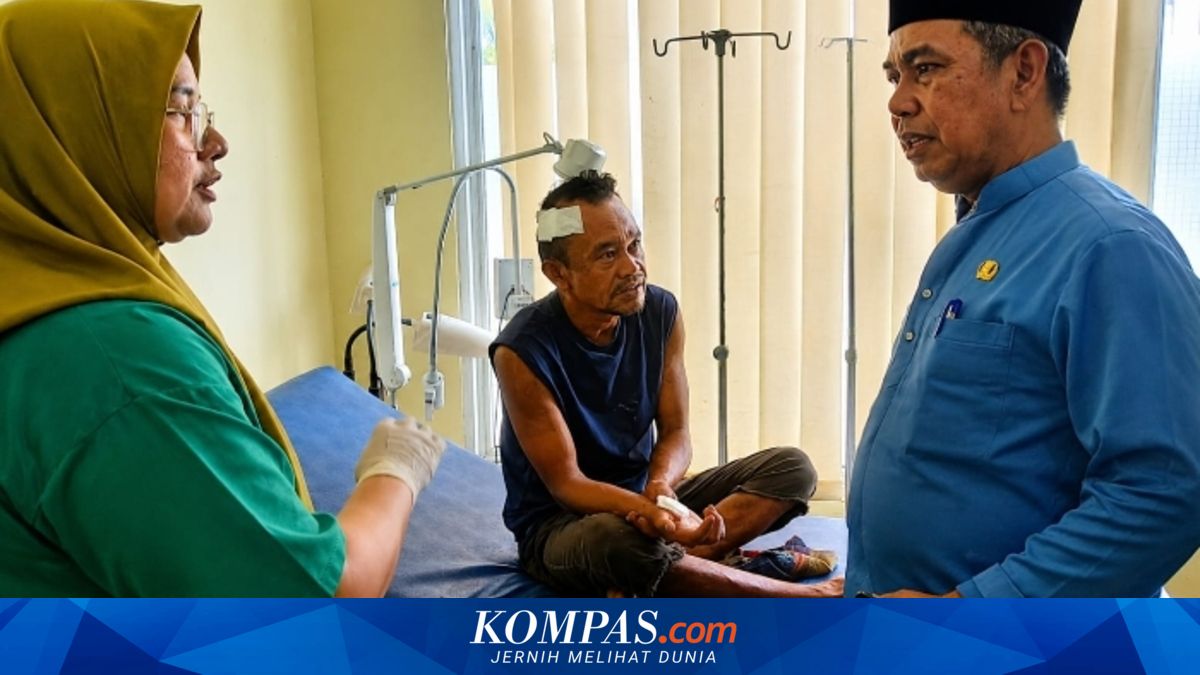 Jumlah Korban Serangan Monyet Liar di Riau Meningkat Jadi 14 Orang