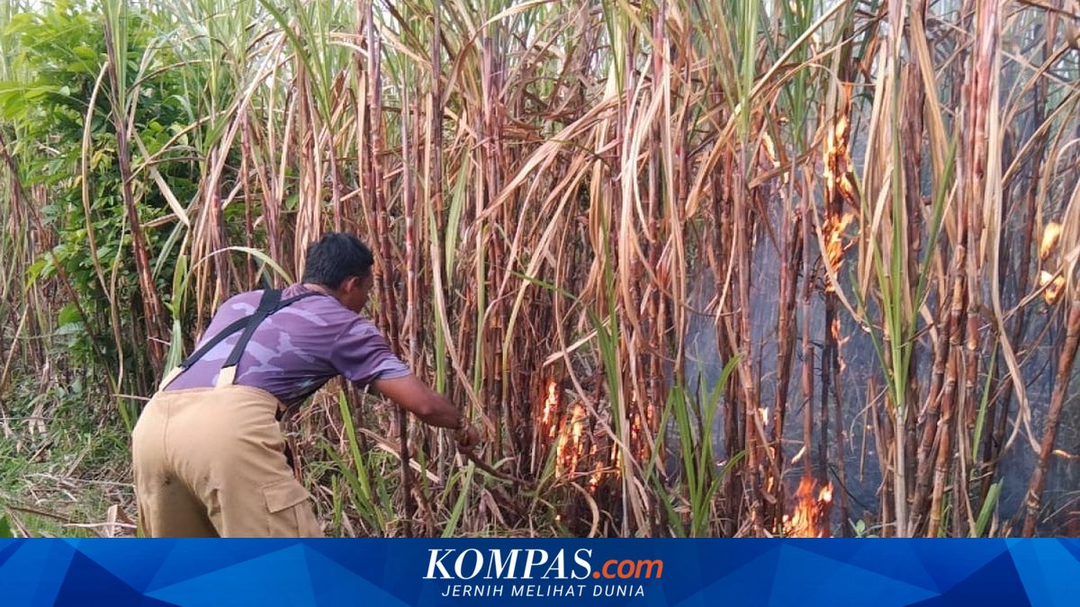 Kebakaran Meningkat di Kediri, Pemkab Ajak Warga Lebih Waspada