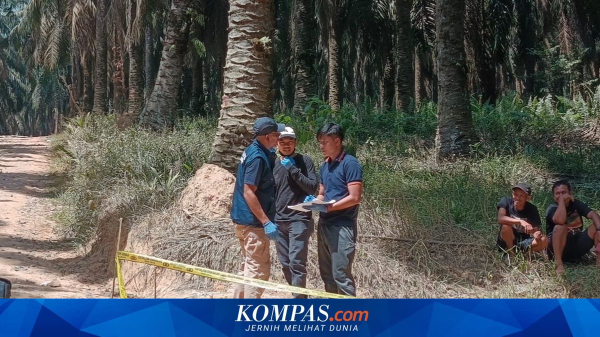 Penemuan Mayat Pria di Kebun Sawit Muba, Luka di Dada Teridentifikasi