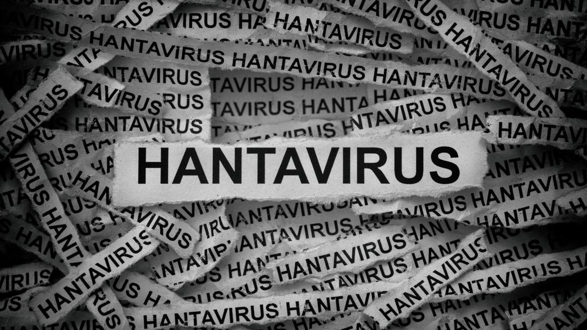 Memahami HFRS: Infeksi Hantavirus yang Ditemukan di Indonesia