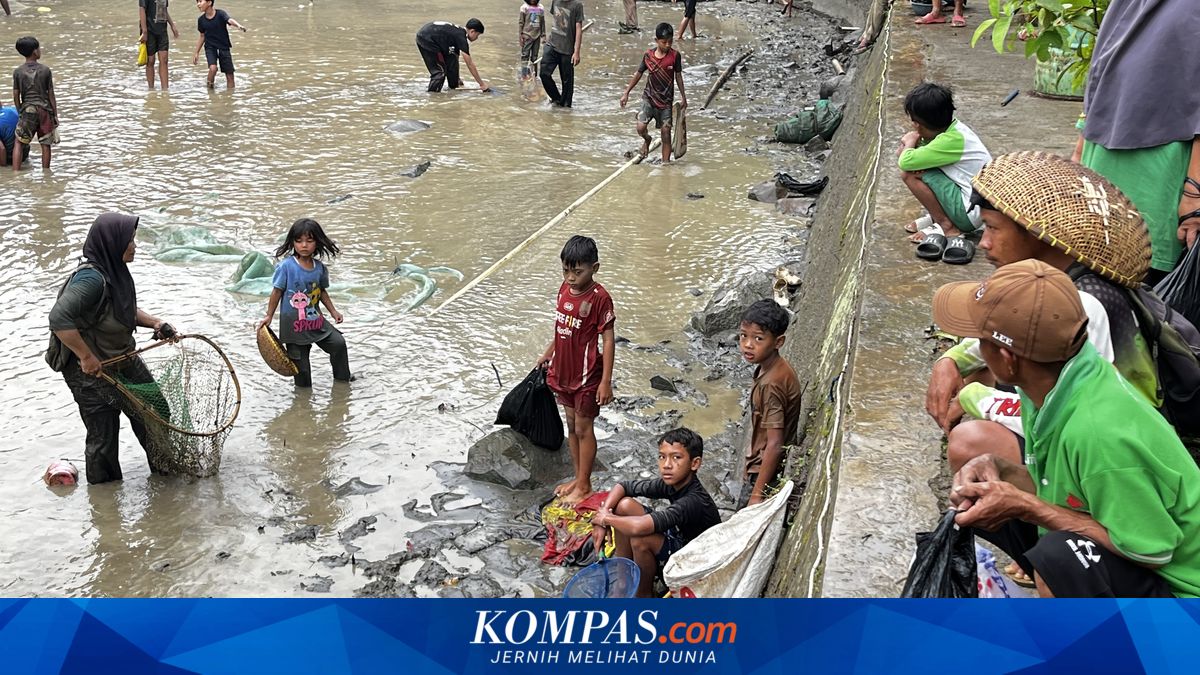 Menelusuri Tradisi Gubyag Balong di Purwakarta, Saat Warga Berburu Ikan dengan Tangan Kosong