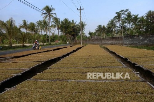 Dorongan untuk Mewujudkan Kawasan Ekonomi Khusus Tembakau di Madura