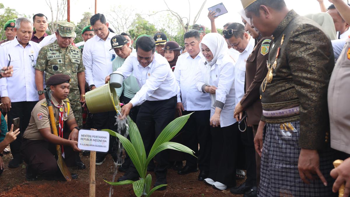 Mentan Amran Temukan Anomali dalam Program Pembibitan Kelapa, Ancaman Pemecatan Menanti