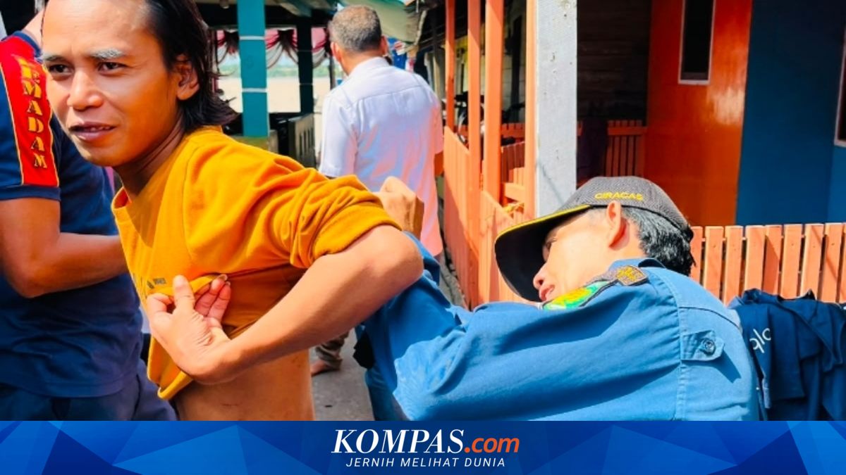 Serangan Monyet di Inhil Riau, Sepuluh Warga Terluka