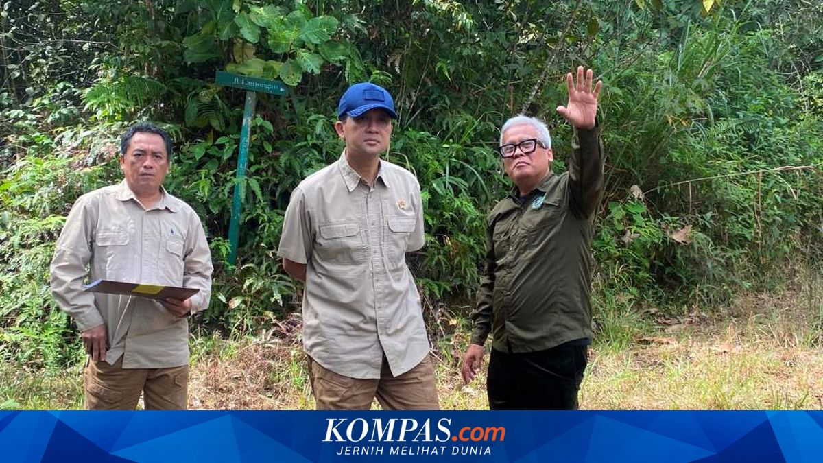 Menteri Transmigrasi Berkomitmen Menyelesaikan Sengketa Lahan BOSF di Kalimantan Timur