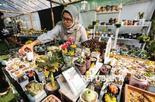 Pemerintah Menargetkan 10 Juta Wirausaha Baru Hingga Tahun 2029