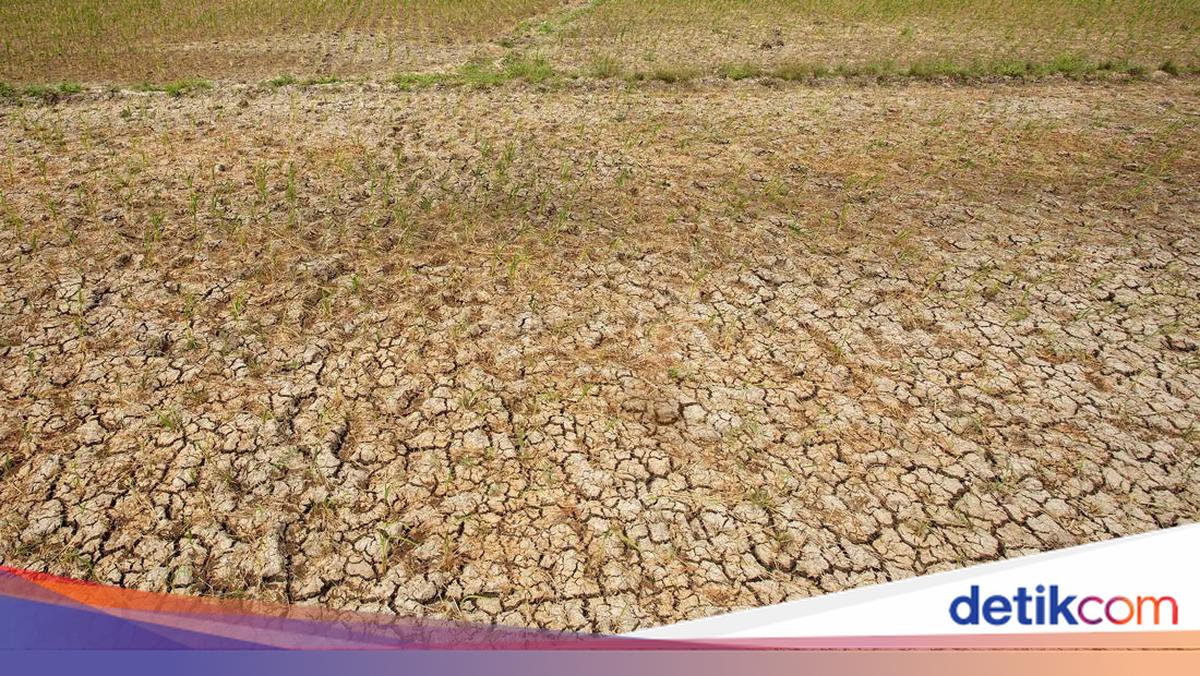 Pemprov Banten Siapkan Langkah Strategis Atasi Kekeringan Akibat El Nino