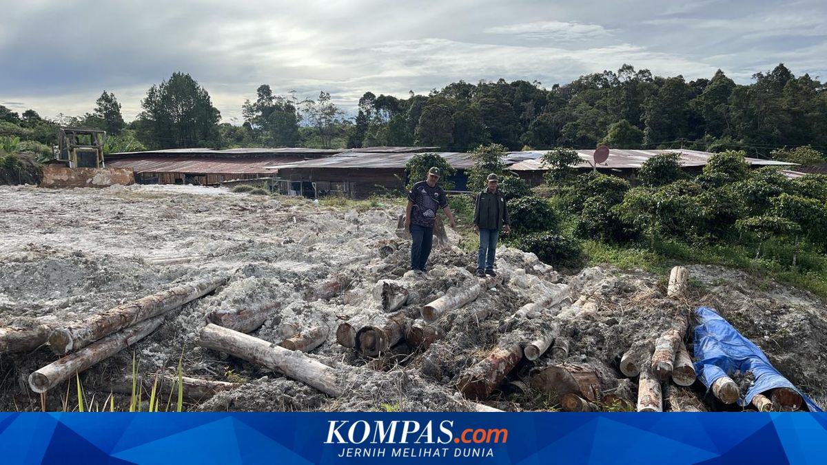 Perusahaan Kayu di Humbahas Diduga Menyimpan Ratusan Kayu Ilegal dengan Cara Tersembunyi