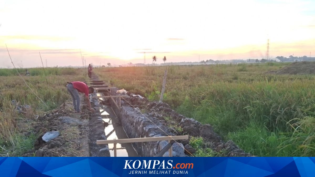 Petani Aceh Utara Terima Upah untuk Bersihkan Lumpur Pasca Banjir