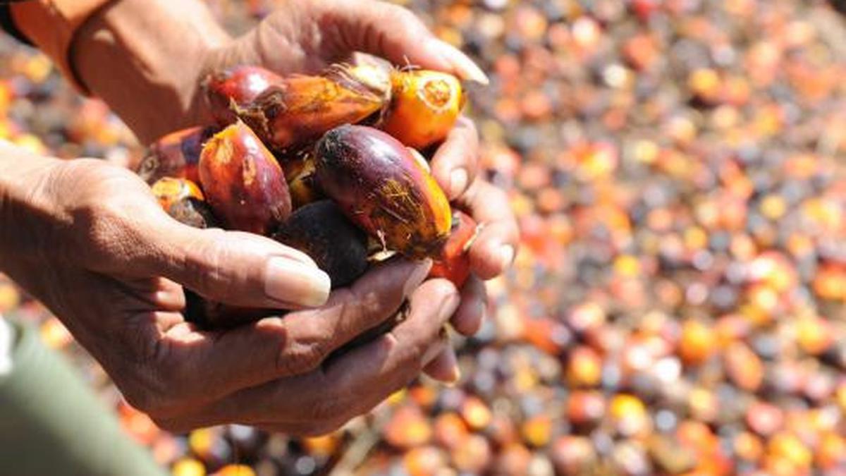Produk UMKM Berbasis Sawit Tampil di Pasar Global