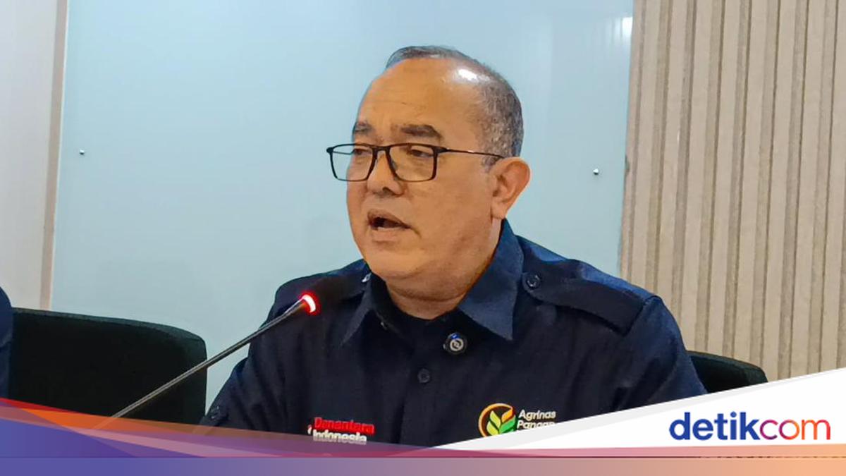 Foto: Direktur Utama PT Agrinas Pangan Nusantara (Persero), Joao Angelo De Sousa Mota. (Muhammad Reevanza/detikFoto)
