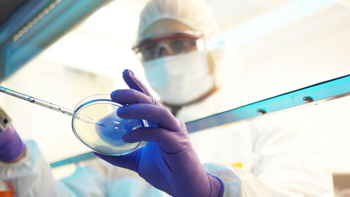 ---
Indonesia Siap Kembangkan Vaksin mRNA Pertama untuk Demam Berdarah

---