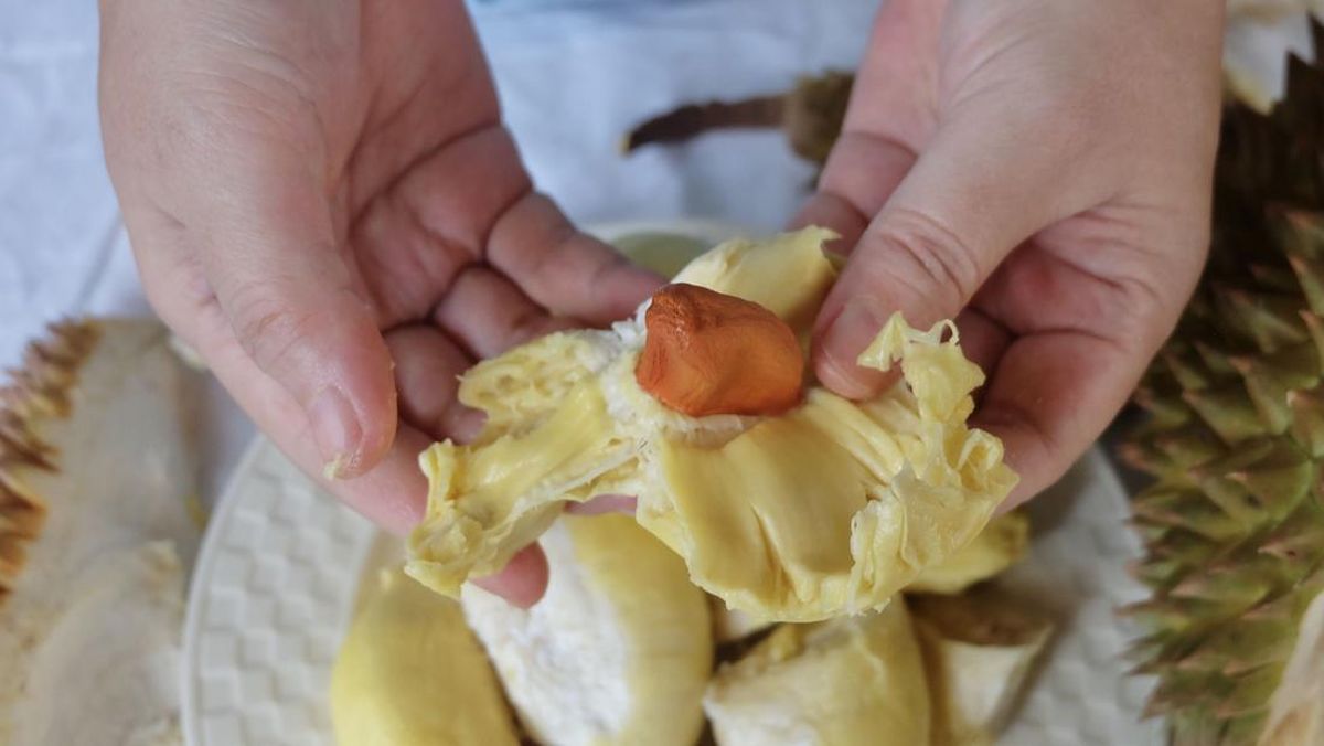 Mitos Durian dan Kolesterol: Fakta yang Perlu Diketahui