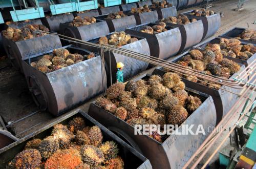Pakar Menilai Indonesia Perlu Acuan Harga Sawit untuk Cegah Under Invoicing