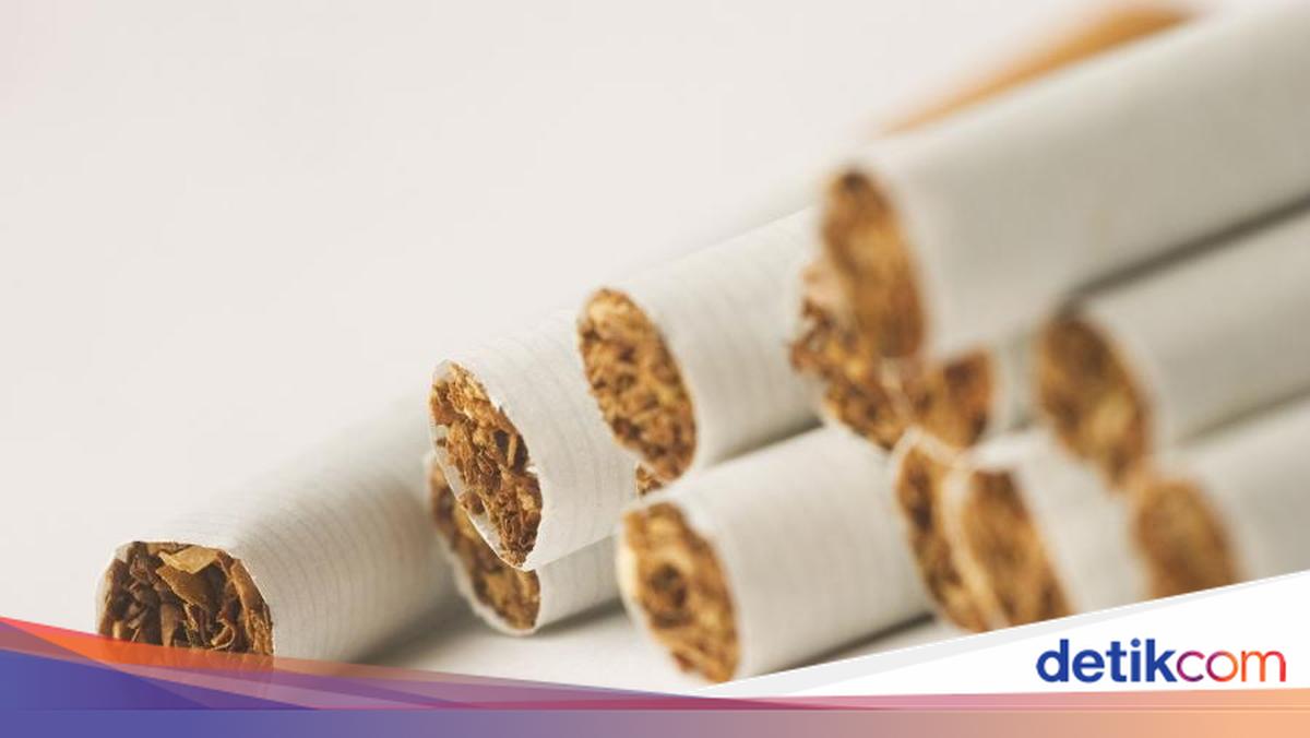 Kementerian Pertanian: Pembatasan Nikotin Butuh Penelitian Jangka Panjang