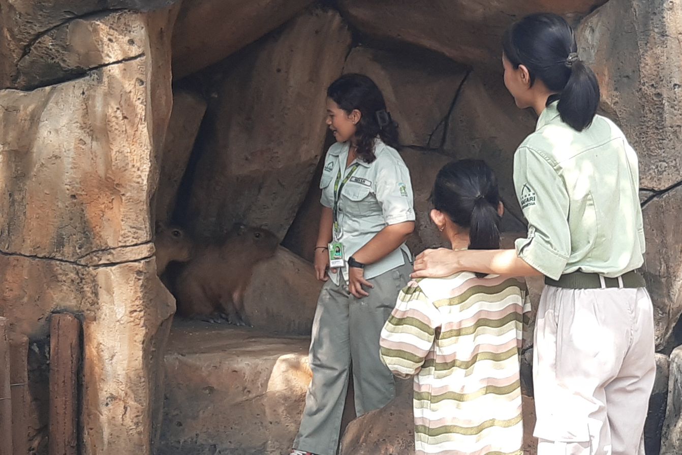 Koleksi Baru Solo Safari: Capybara dan Kura-Kura dari Wakil Presiden