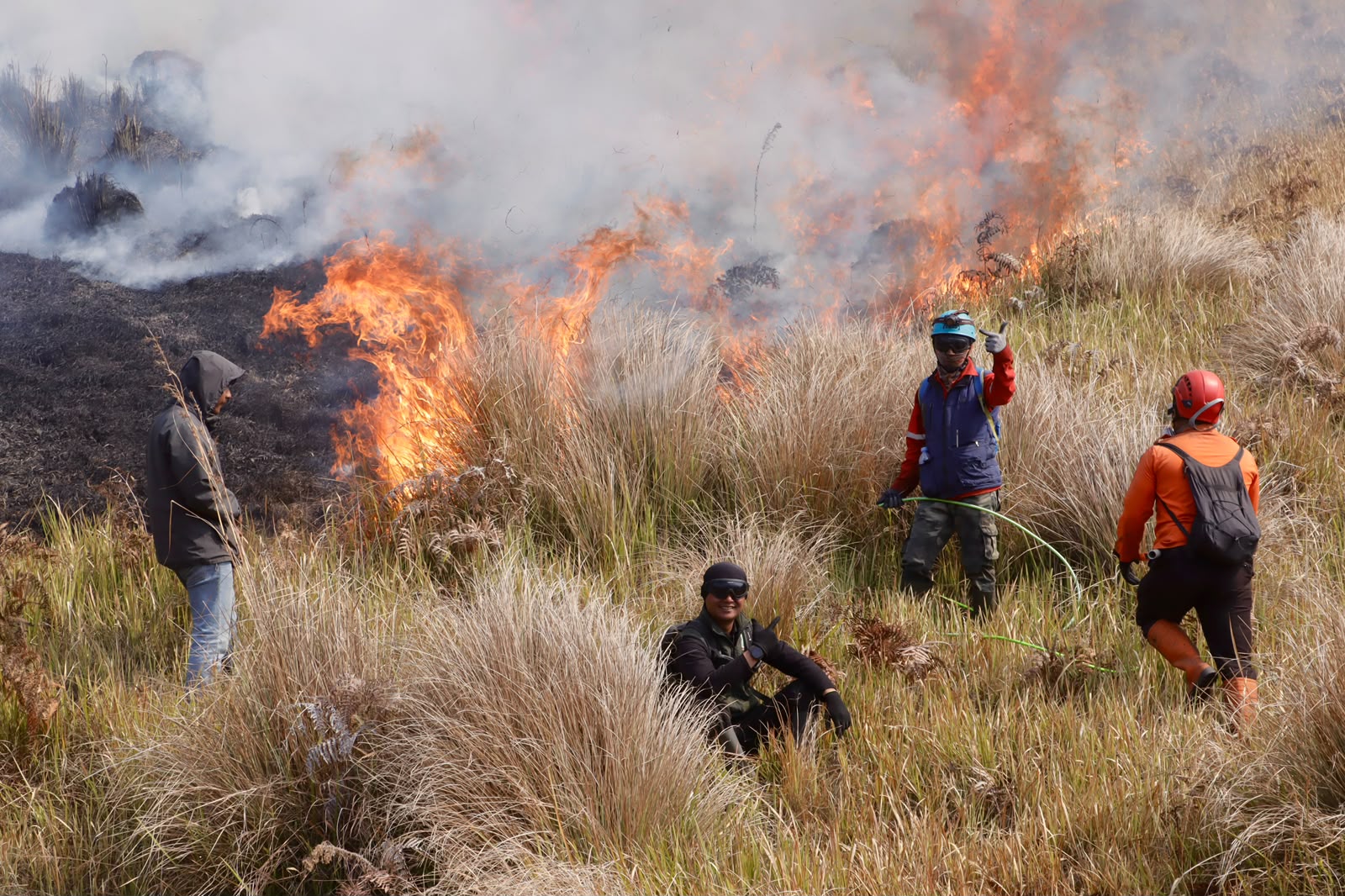 Investigasi Penyebab Kebakaran Bromo, Faktor Alam Diperkirakan Kecil